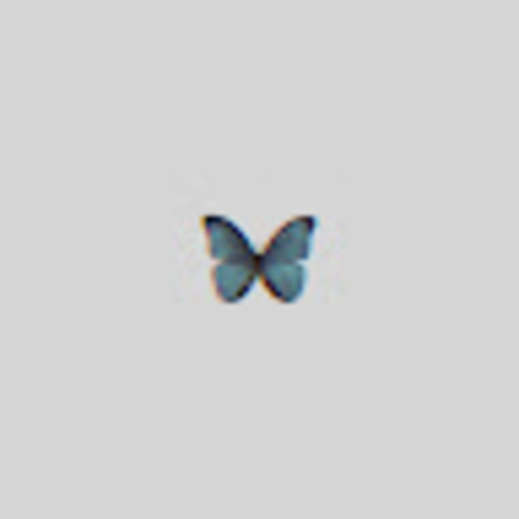 noemia1368